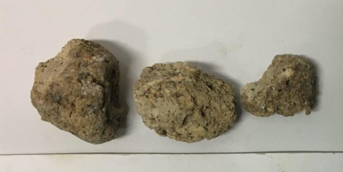 Human coprolite (preserved human faeces) from Durrington Walls.