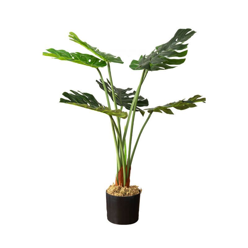 <p><a href="https://go.redirectingat.com?id=74968X1596630&url=https%3A%2F%2Fwww.wayfair.com%2F--%2Fpdp%2Fprimrue--artificial-monstera-plant-in-pot-x110696946-l3717-w009585835.html&sref=https%3A%2F%2Fwww.elle.com%2Ffashion%2Fshopping%2Fa60593094%2Fwayfair-way-day-home-sales-2024%2F" rel="nofollow noopener" target="_blank" data-ylk="slk:Shop Now;elm:context_link;itc:0;sec:content-canvas" class="link ">Shop Now</a></p><p>Artificial Monstera Plant in Pot</p><p>wayfair.com</p><p>$38.00</p>