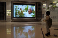 A TV screen shows a footage of Arthur Lee, owner of the MoVertical Farm, at a supermarket in Hong Kong Thursday, Sept. 24, 2020. Operating on a rented 1,000 square meter patch of wasteland in Hong Kong's rural Yuen Long, Arthur Lee's MoVertical Farm utilizes around 30 of the decommissioned containers, to raise red water cress and other local vegetables hydroponically, which eliminates the need for soil. A few are also used as ponds for freshwater fish, with the bounty sold to local supermarkets in this crowded city of 7.5 million that is forced to import most of its food. (AP Photo/Kin Cheung)