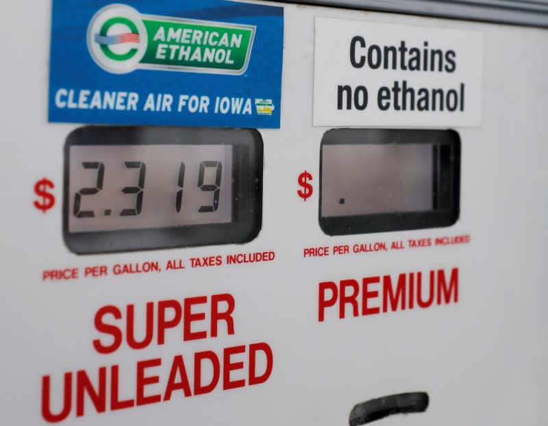 FILE PHOTO: Choices at the gas pump including ethanol or no ethanol gas are seen in Des Moines