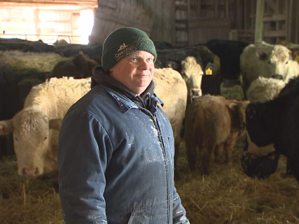 Cattle producer Dennis Hogan has seen land he's been farming sold out from under him before. (Shane Hennessey/CBC - image credit)