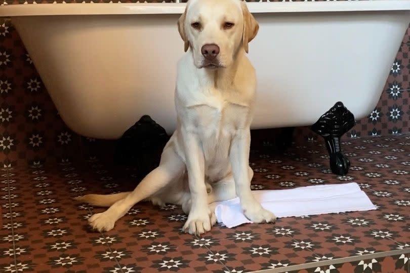 Rupert sits in front of a bath