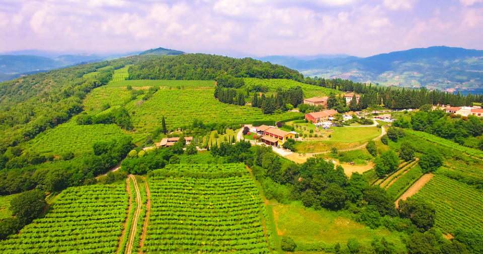 Remplacez l\’Il Soave par du vin de la Dorona – Venise, Italie