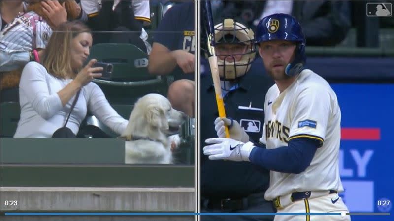 哈斯金斯（Rhys Hoskins）在愛犬面前開轟。（圖／翻攝自MLB官網）