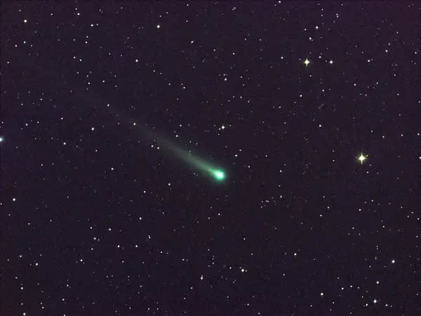 Ein grüner Komet namens ISON zog 2013 an der Erde vorbei. - Copyright: NASA