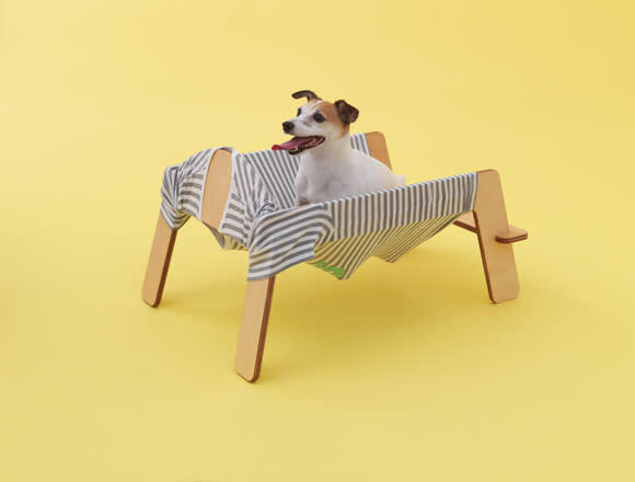 Architecture for Dogs