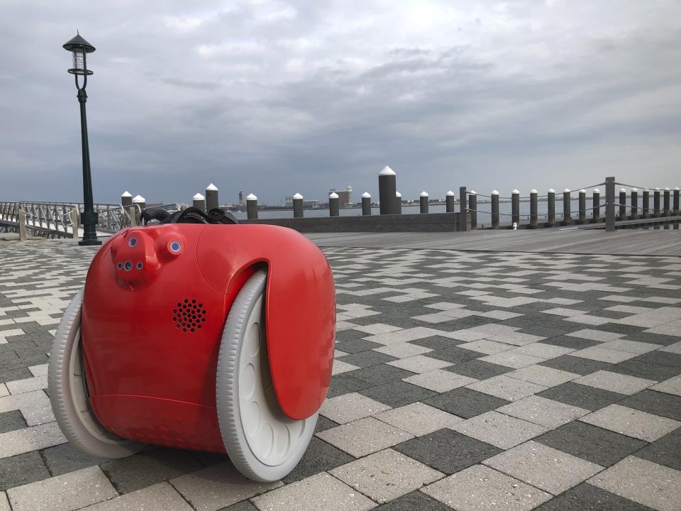 A cargo-carrying robot called the Gita sits near a waterfront park on Monday, Nov. 11, 2019, in Boston. A subsidiary of Italian automaker Piaggio designed the machine to follow its owner carrying groceries and other items. (AP Photo /Matt O'Brien)