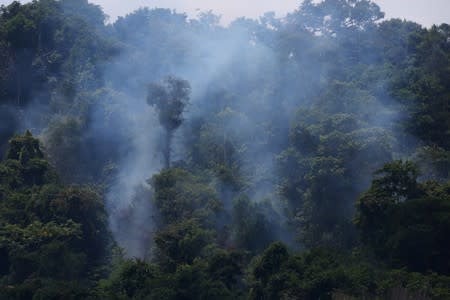 Smoke is seen in a burning area in Jamanxim National Forest, in the Amazon near Novo Progresso