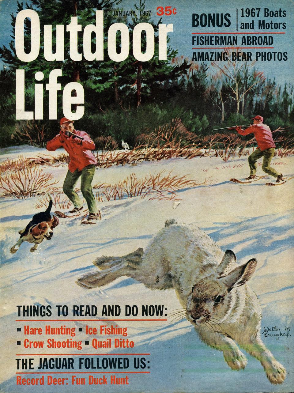 January 1967: OL often ran rabbit covers in the ’50s and ’60s, a nod to the heyday of small-game hunting.