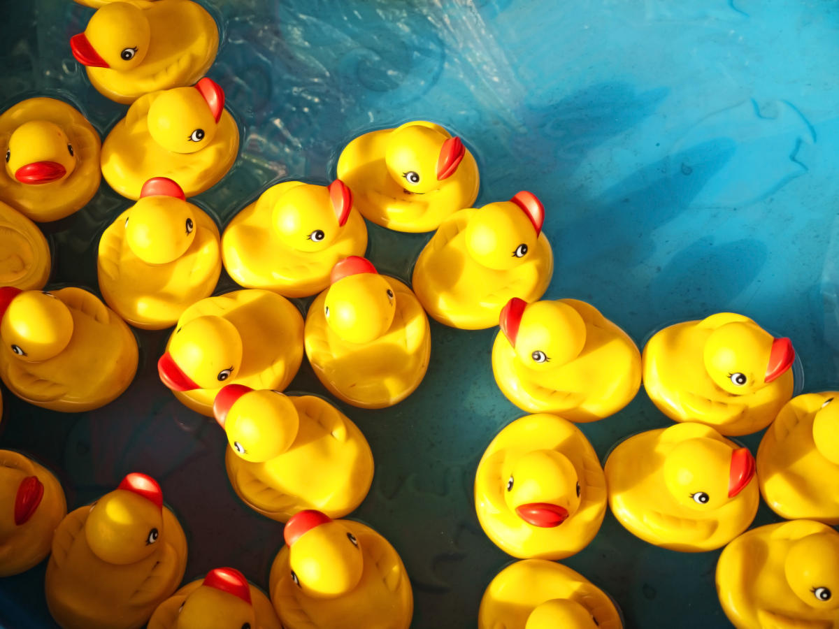 Danger: a mucky rubber ducky is a haven for bacteria, says study