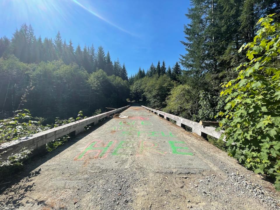 RCMP officers removed a barricade nearby this bridge, which runs over the Gordon River in the Fairy Creek injunction area. 