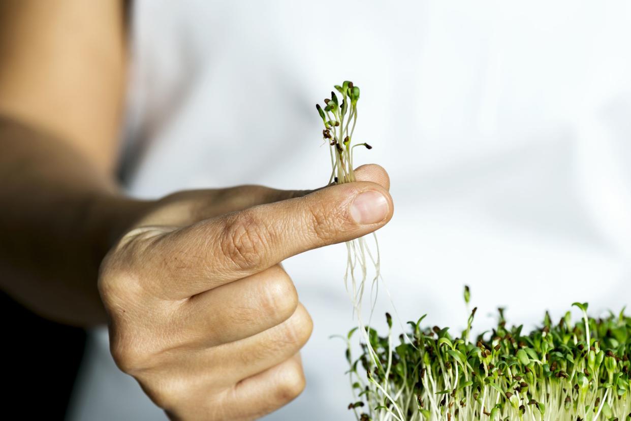 Woman holding micro greens.