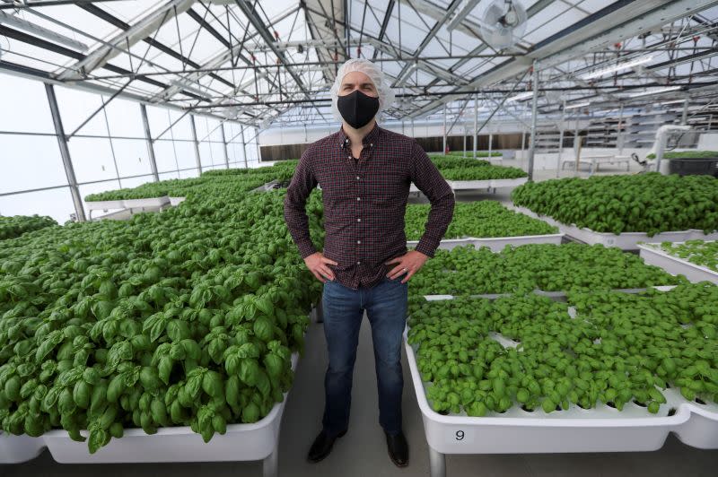 Iron Ox CEO Brandon Alexander poses for a portrait in the company's greenhouse in Gilroy, California