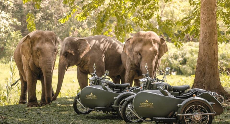 Además de las actividades relacionadas con elefantes, ofrecen otras como paseo en sidecar, yoga, viajes en barco o visitas a plantaciones de arroz y café y a monumentos y ciudades cercanos. (Foto: <a href="http://www.anantara.com/en/golden-triangle-chiang-rai/leisure/?category=at-the-resort" rel="nofollow noopener" target="_blank" data-ylk="slk:Anantara Golden Triangle Elephant Camp & Resort;elm:context_link;itc:0;sec:content-canvas" class="link ">Anantara Golden Triangle Elephant Camp & Resort</a>).