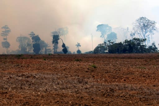 Raging fires in the Amazon rainforest were on the G7 agenda