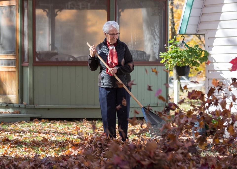 Woman raking leaves on a windy day with a plant hanging in the background.