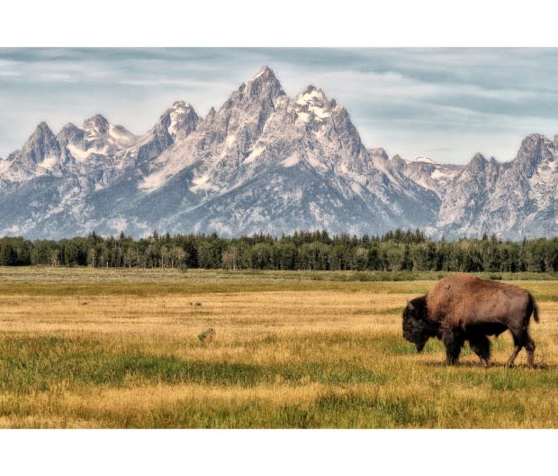 Grand Teton National Park<p>Jeff R. Clow/Getty Images</p>