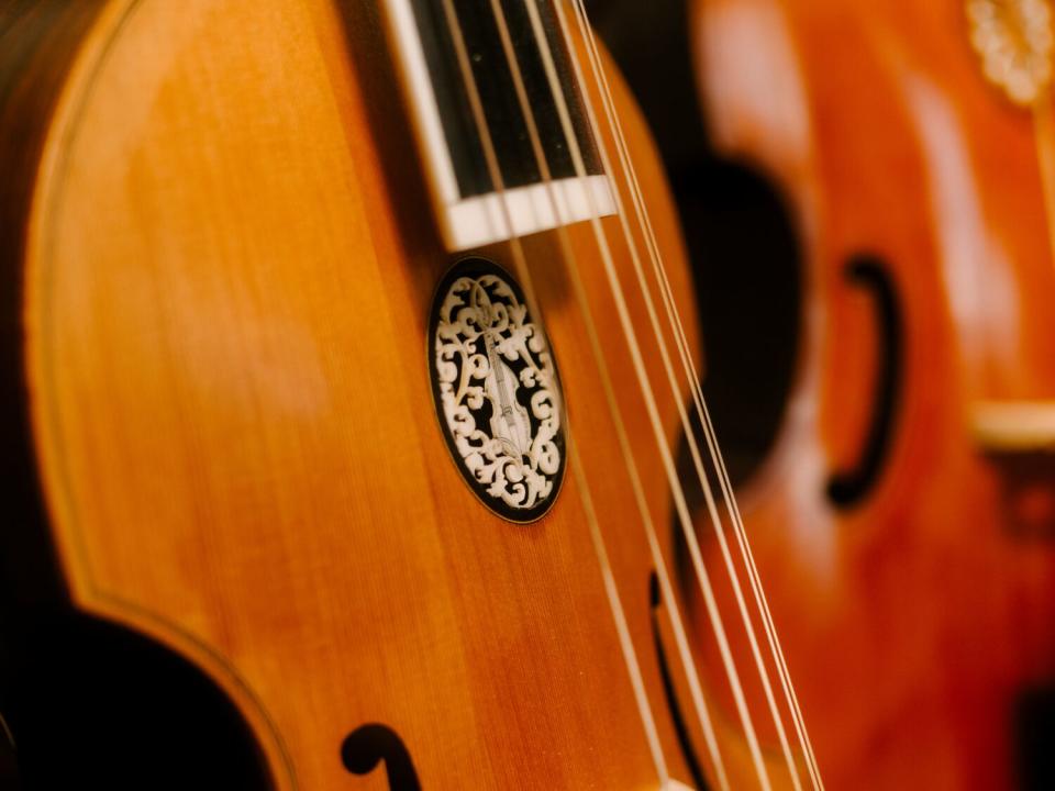 A viola da gamba