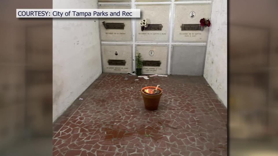 <div>Courtesy: Tampa Parks and Rec</div>