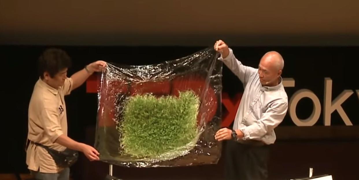 El ingeniero japonés Yuichi Mori presentando sus desarrollos agrícolas en Tokio | imagen TED Tokio