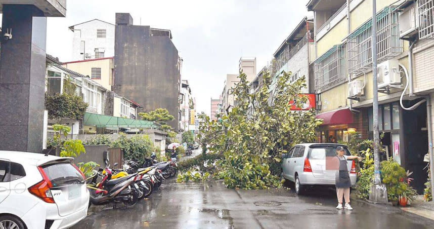 台中市11日下起一陣大雨，北區梅亭街附近民宅種植的大樹倒塌，壓毀1部小客車及1輛機車。（圖／民眾提供）