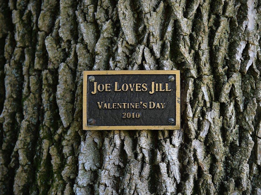 The plaque on a tree on the grounds of the vice president's residence reading "Joe Loves Jill."