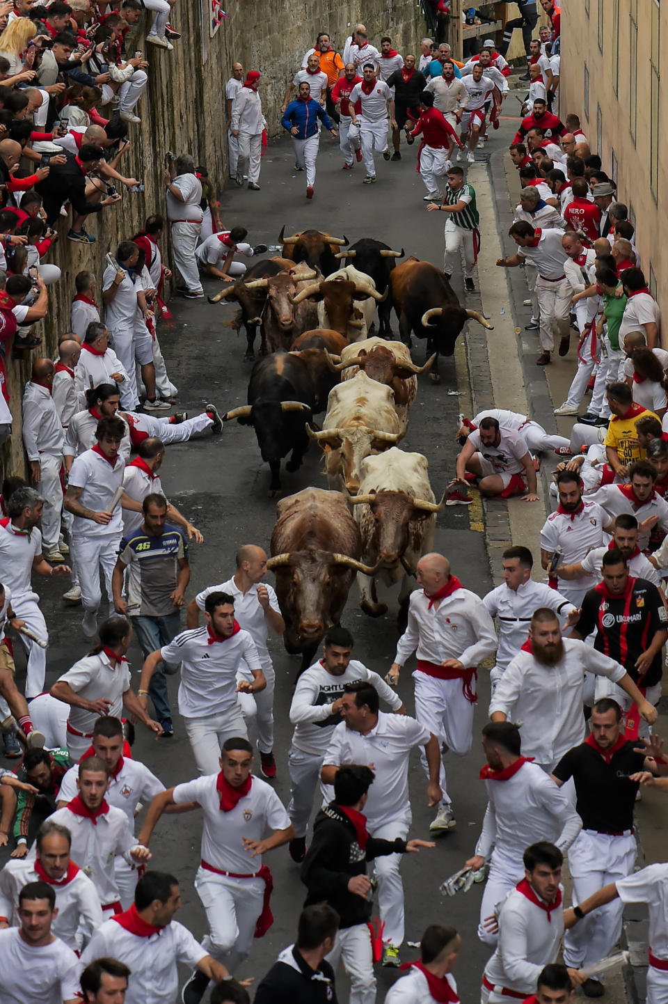 La Palmosilla's fighting bulls run among revellers during the first day of the running of the bulls during the San Fermin fiestas in Pamplona, Spain, Friday, July 7, 2023. (AP Photo/Alvaro Barrientos)