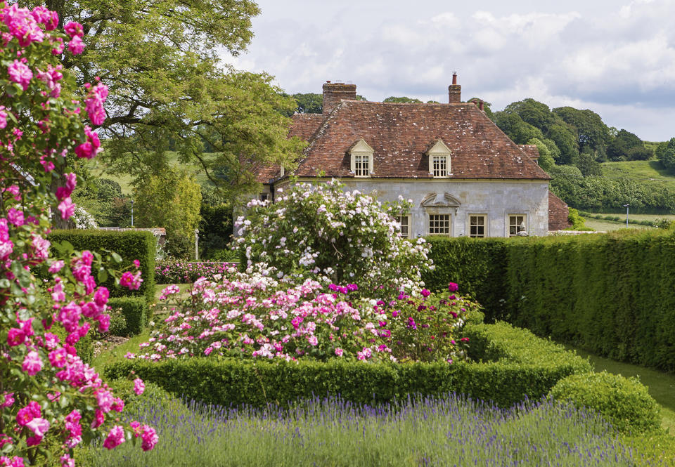 1. Plant roses as hedging or en masse