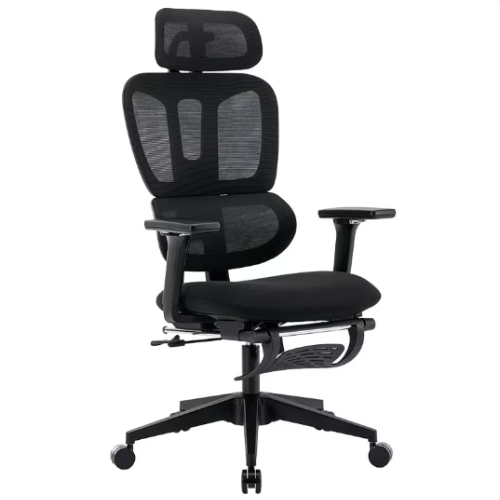 FlexiSpot Premium Ergonomic Chair C7