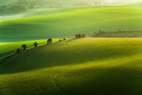 The South Downs. It beats Trafalgar Square - Credit: getty