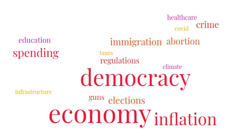 A word cloud based on what Republicans in our Main Street Agenda survey told us most concerns them heading into the midterms.