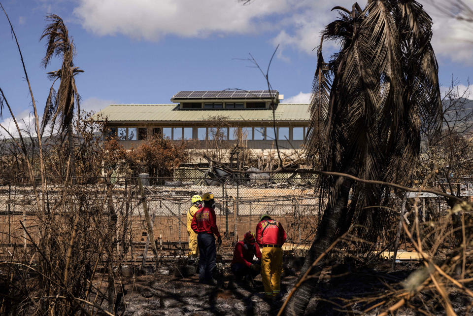 Search and recovery team members check charred buildings and cars in the aftermath of the Maui wildfires in Lahaina, Hawaii, on Aug. 18, 2023.  (Yuki Iwamura  / AFP via Getty Images)