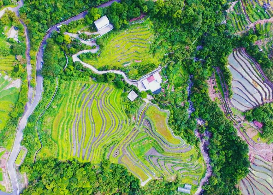 新北市石門嵩山社區百年梯田