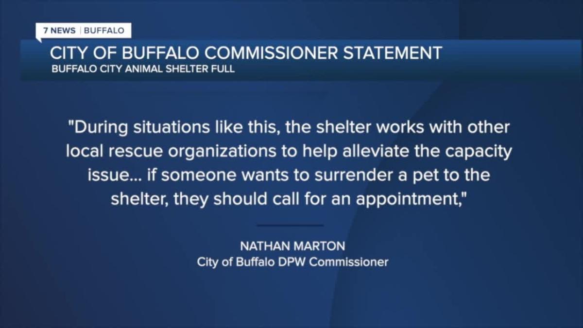 City Of Buffalo Animal Shelter At Full Capacity   6ca922d9b05706ae5a71fe0f510d467f