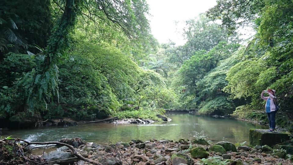 嶺腳寮山登步道親山也親水，夏季到訪感受沁涼水氣。