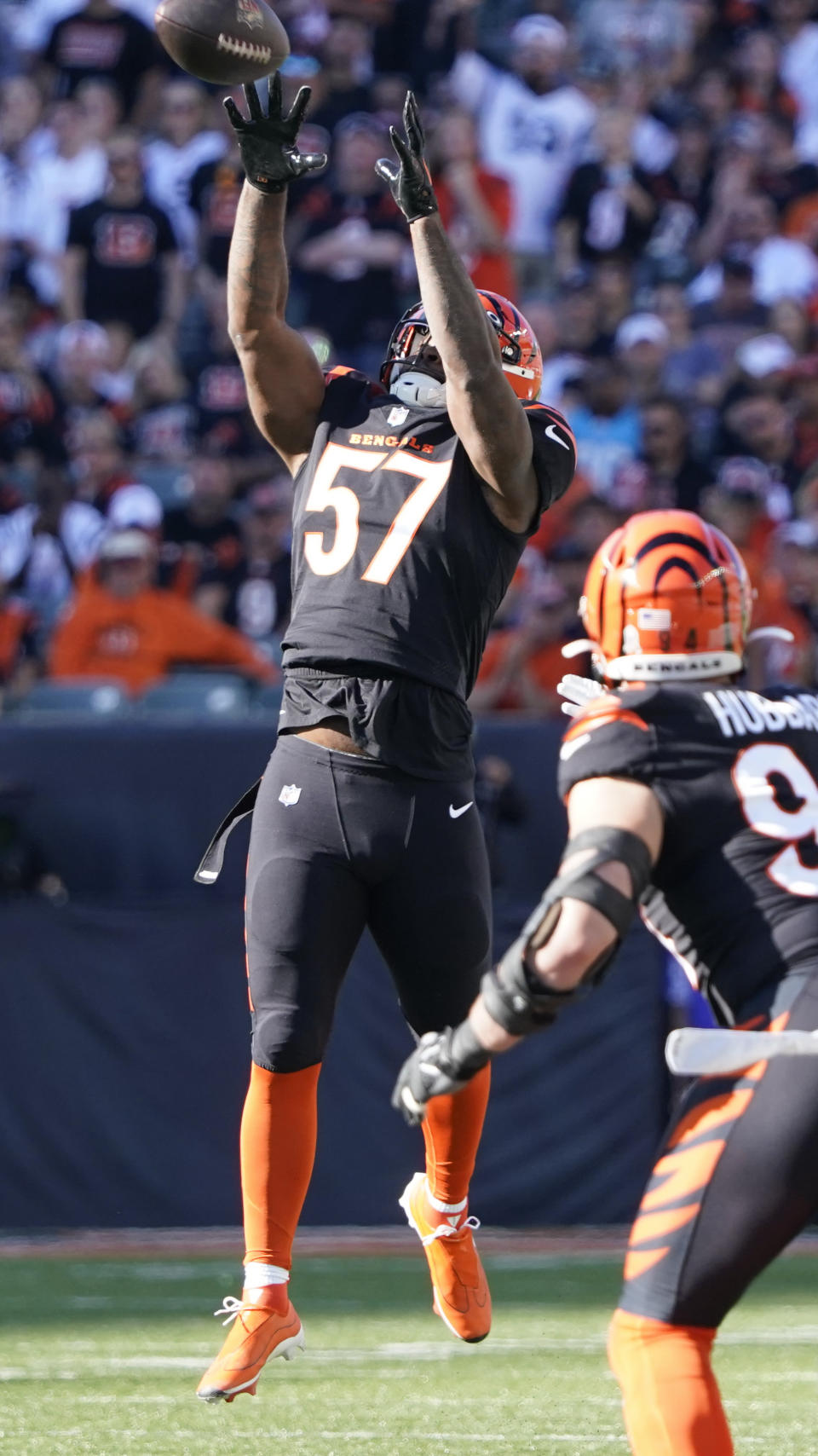 Cincinnati Bengals linebacker Germaine Pratt (57) makes an interception against the Carolina Panthers during the first half of an NFL football game, Sunday, Nov. 6, 2022, in Cincinnati. (AP Photo/Joshua A. Bickel)