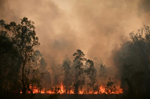 A bushfire rages in Bobin, 300km north of Sydney. The crisis has forced the cancellation of this week's Rally Australia around 100km further north on the east coast of NEw South Wales