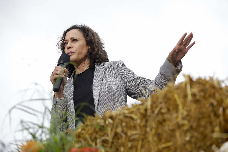 Democratic presidential candidate, Sen. Kamala Harris (D-CA) speaks during the Democratic Polk County Steak Fry on September 21, 2019 in Des Moines, Iowa.  (Photo: Joshua Lott/Getty Images)