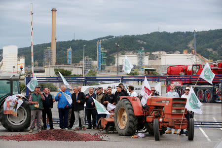 French farmers, members of the FNSEA, the country's largest farmers' union, stand near tractors as they protest outside the Total biodiesel refinery at La Mede near Fos-sur-Mer, France, June 11, 2018. REUTERS/Jean-Paul Pelissier