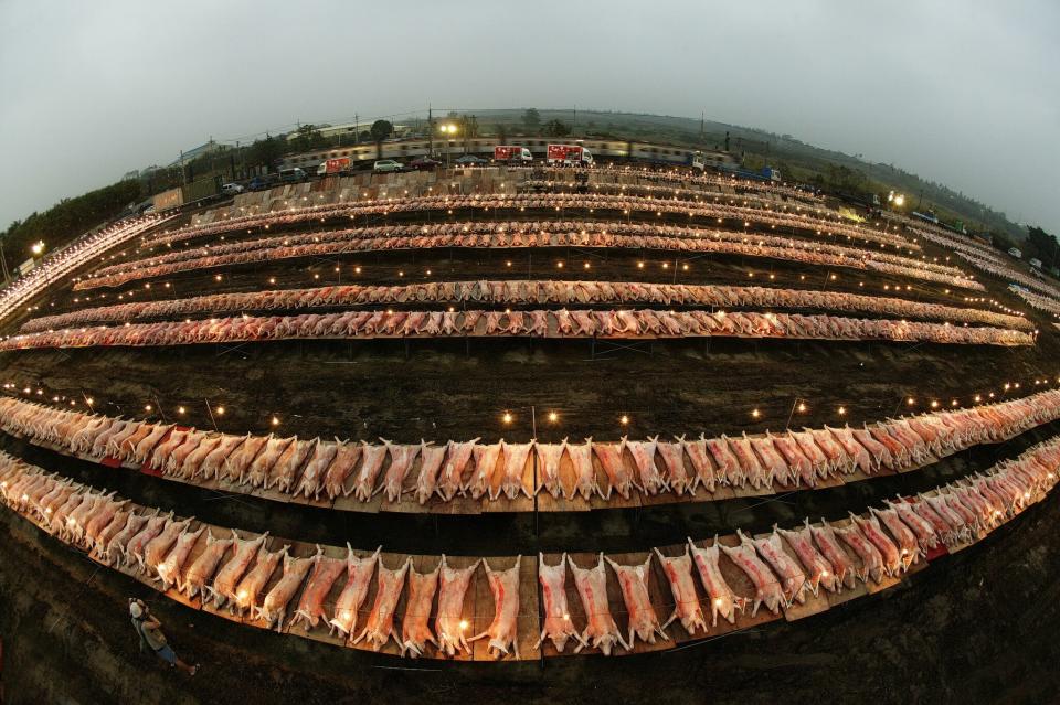 台南十三甲武德宮丙戌科五朝王醮，普渡使用豬隻達1200頭。（2007年攝，東港限定）（陳逸宏攝影，一葦文思提供）