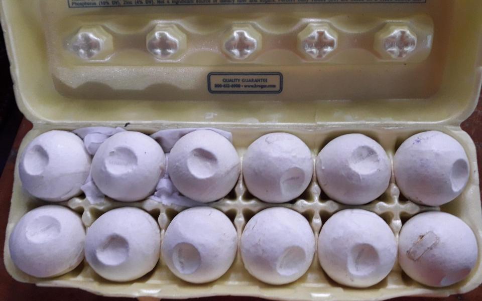 Decoy turtle eggs in a carton  - Helen Pheasey