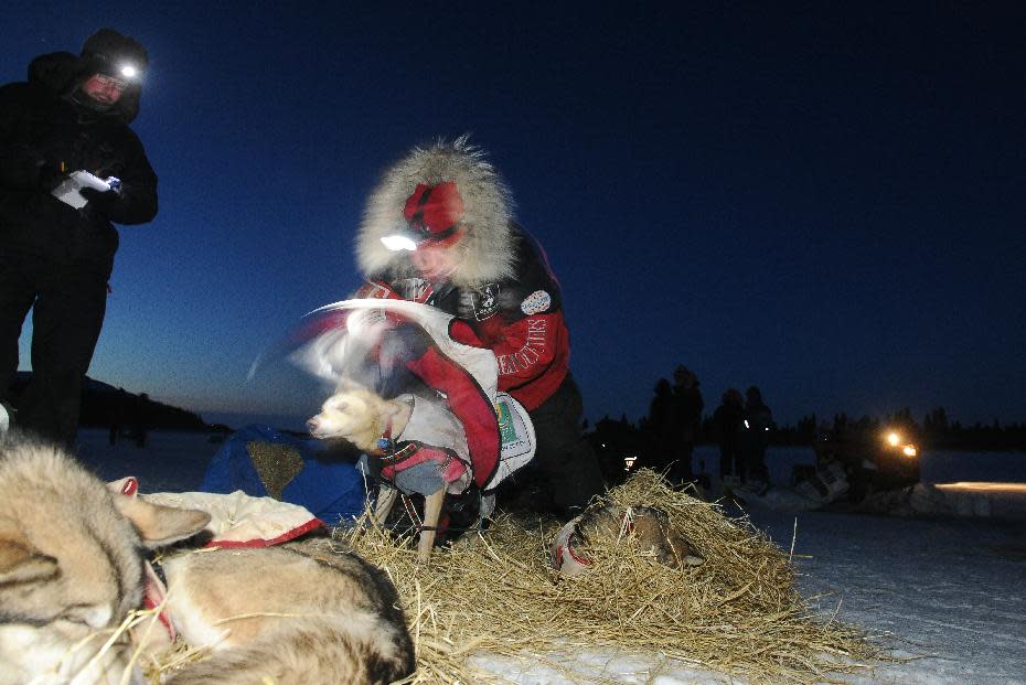 Iditarod musher Aliy Zirkle, from Two Rivers, Alaska, arrives second behind Jeff King into the White Mountain checkpoint during the Iditarod Trail Sled Dog Race on Monday, March 10, 2014. (AP Photo/The Anchorage Daily News, Bob Hallinen)