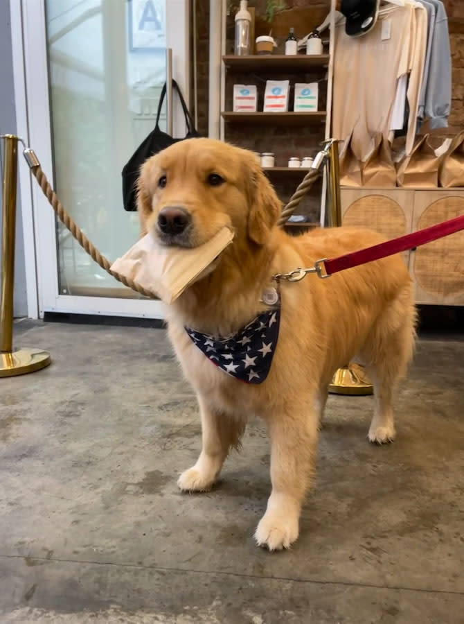 Dogs will love the free homemade peanut butter treats provided in-store, and you’ll frequently see pet parents conversing with fellow leash-holders. Ellie Jones