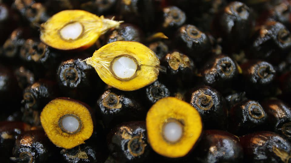 Halved oil palm kernels are seen on the trade floor of a commodities conference and exhibition in Kuala Lumpur. - Tengku Bahar/AFP/Getty Images