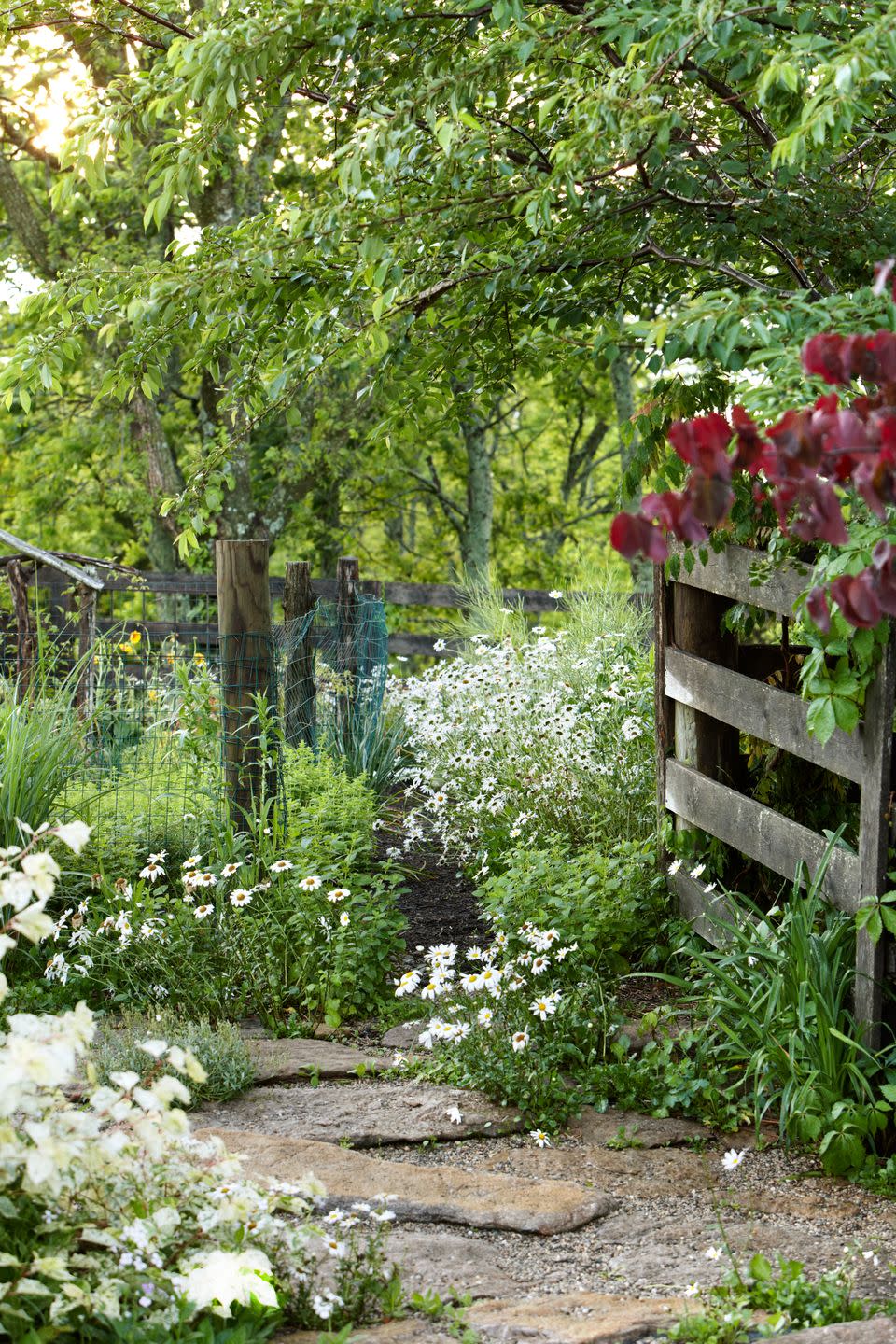 <p>A limestone path lined with wild daisies leads the way to this secluded Kentucky cabin.</p><p><strong><a href="https://www.countryliving.com/home-design/house-tours/g1500/kentucky-backyard-garden-ideas/" rel="nofollow noopener" target="_blank" data-ylk="slk:Read more about this Kentucky cabin;elm:context_link;itc:0;sec:content-canvas" class="link ">Read more about this Kentucky cabin</a>.</strong></p><p><a class="link " href="https://www.amazon.com/Landscape-Flagstone-Stepping-Stone-Terrariums/dp/B07PF177NY/?tag=syn-yahoo-20&ascsubtag=%5Bartid%7C10050.g.1432%5Bsrc%7Cyahoo-us" rel="nofollow noopener" target="_blank" data-ylk="slk:SHOP FLAGSTONES;elm:context_link;itc:0;sec:content-canvas">SHOP FLAGSTONES</a></p>