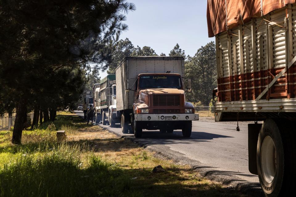 In Zacan, Michoacán, trucks full of avocados that will be exported to the United States travel in groups to reduce the risk of being a victim of robbery during the journey. Feb. 2, 2023