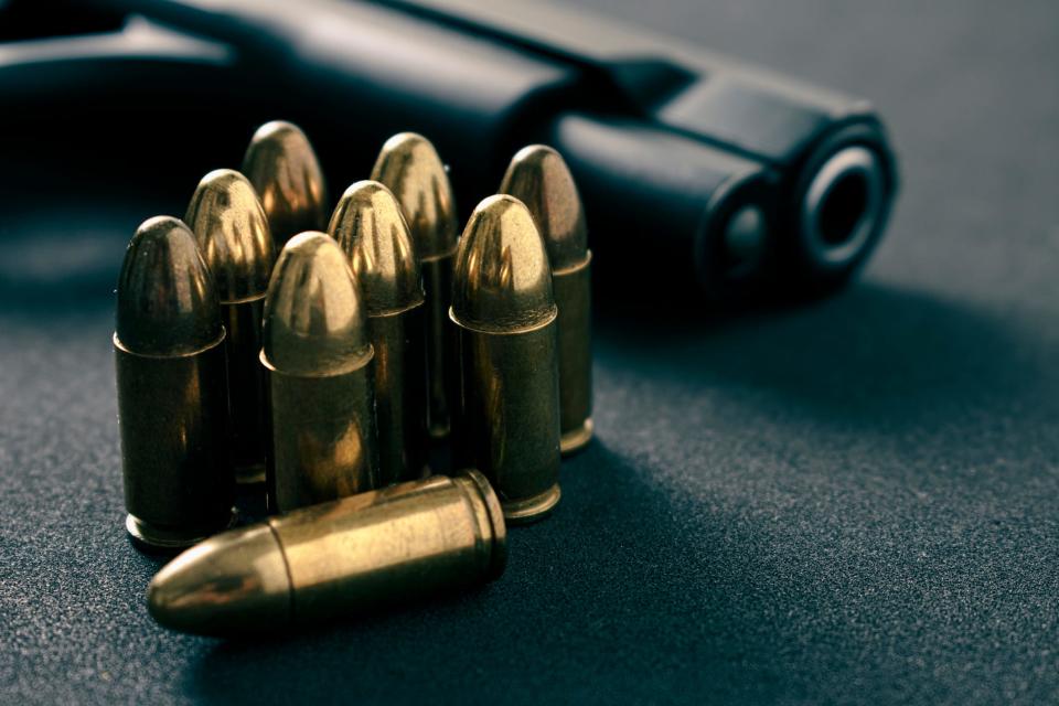 Sean R. Meola, 51, of Hampton, was sentenced Wednesday to 46 months in prison on the charge unlawful possession of ammunition.