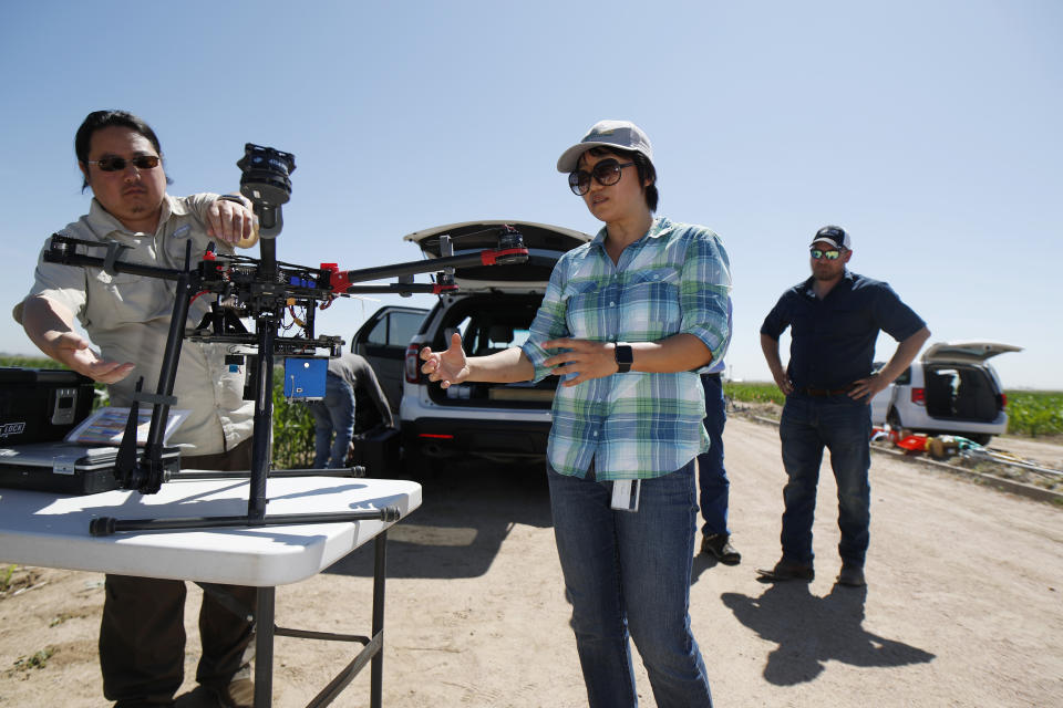 In this Thursday, July 11, 2019, photograph, United States Department of Agriculture Kevin Yemoto, left, an engineering technician, joins Huihui Zhang in setting up a drone for flight over a research farm northeast of Greeley, Colo. as Kendall DeJonge, also of the USDA, looks on. Researchers are using drones carrying imaging cameras over the fields in conjunction with stationary sensors connected to the internet to chart the growth of crops in an effort to integrate new technology into the age-old skill of farming. (AP Photo/David Zalubowski)