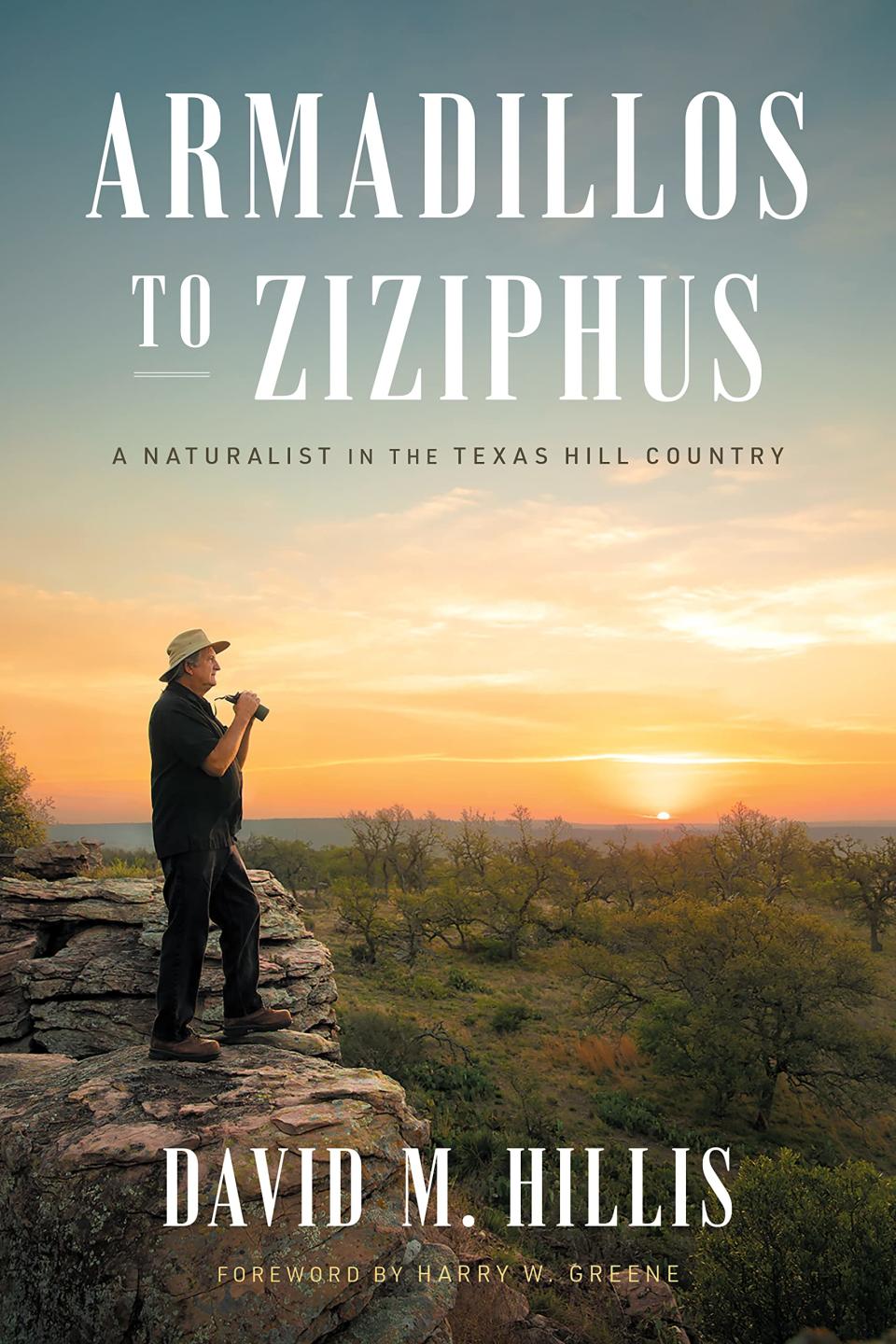 "Armadillos to Ziziphus: A Naturalist in the Texas Hill Country" by David M. Brooks (UT Press)