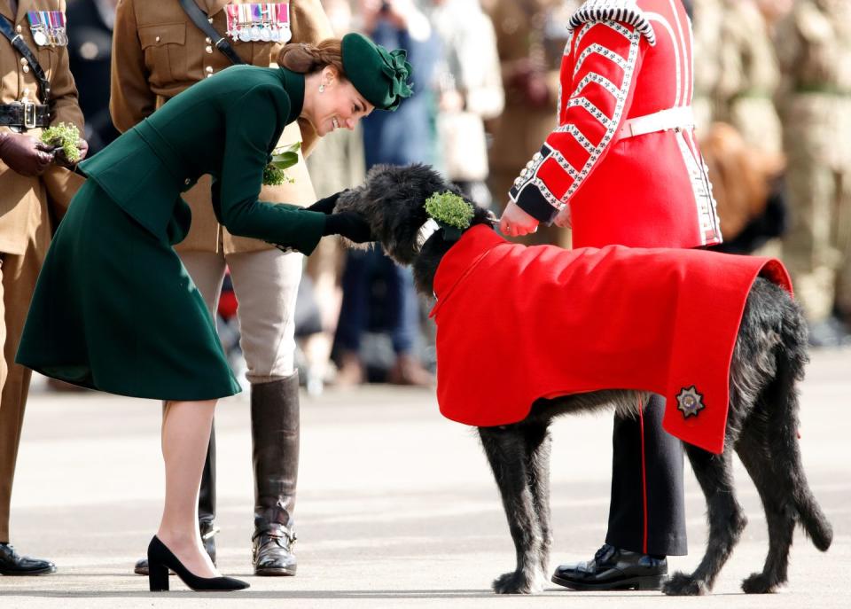 <p>Forget royal duties. Kate Middleton knows there's nothing more important than stopping to pet a cute dog. The Duchess gave a Domhnall the Irish Wolfhound a pat at a St. Patrick's Day ceremony in 2019. </p>